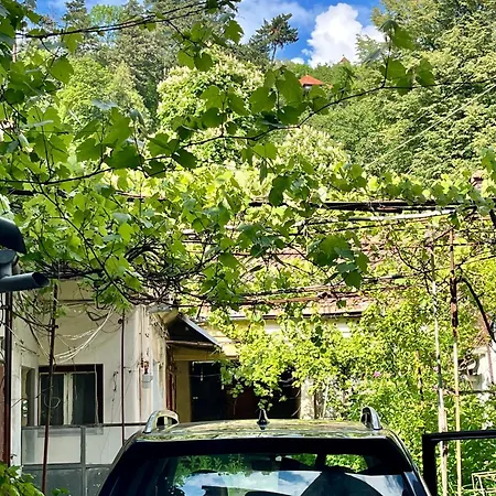 Casa Ming Villa Brasov